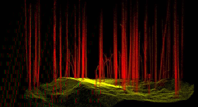 SYN CMS Blog FARO LiDAR Forestry
